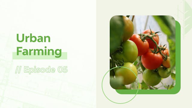 Episode 5: Urban Farming