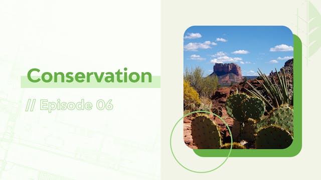 Episode 6: Conservation