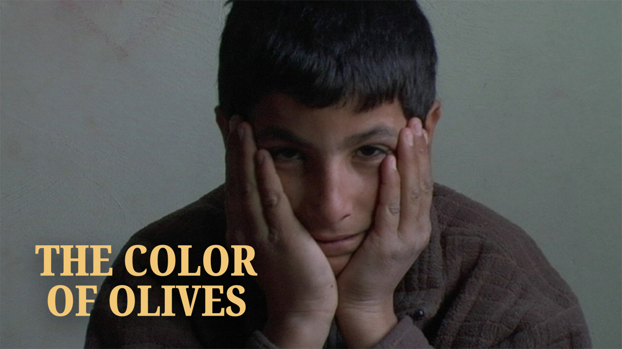 The Color of Olives - Trailer