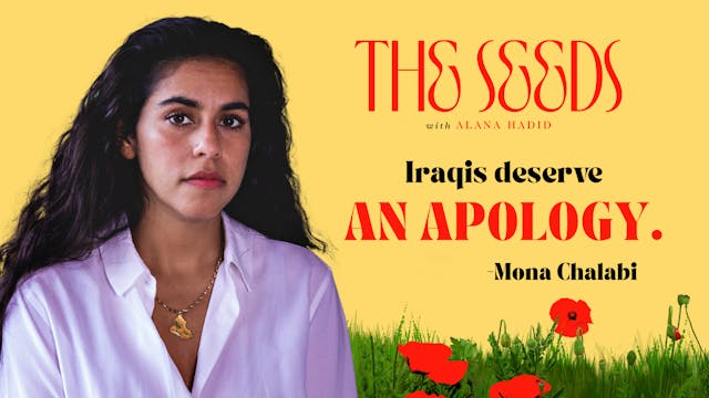 The Seeds - Mona Chalabi