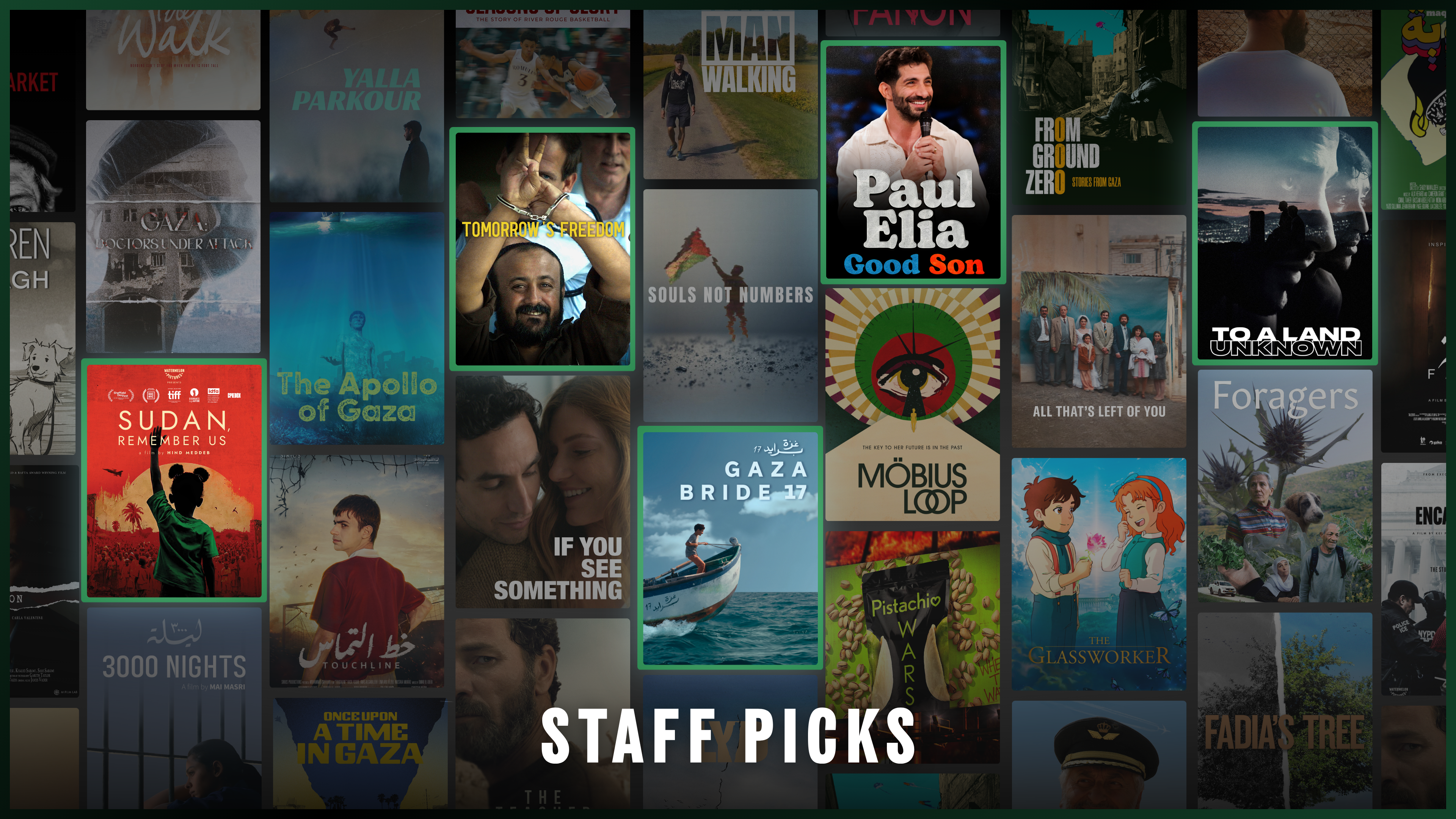 Staff Picks