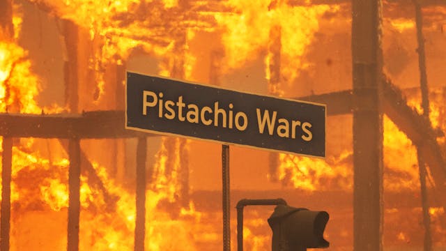 Pistachio Wars - Trailer
