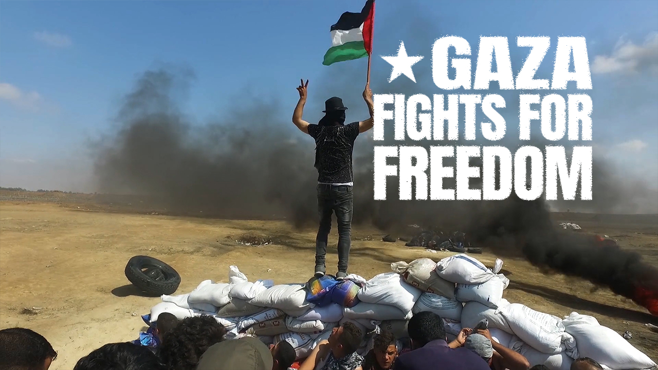 Gaza Fights for Freedom