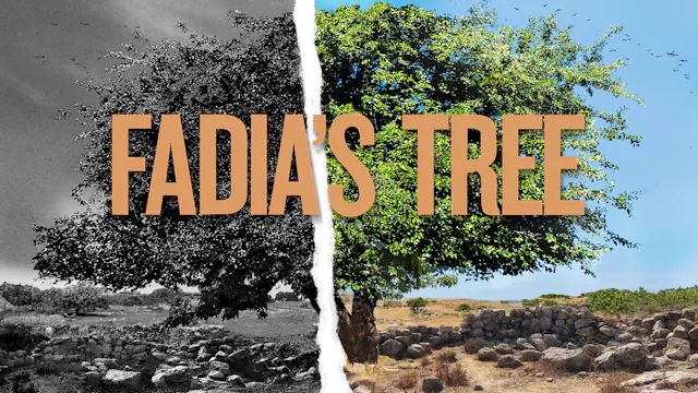 Fadia's Tree