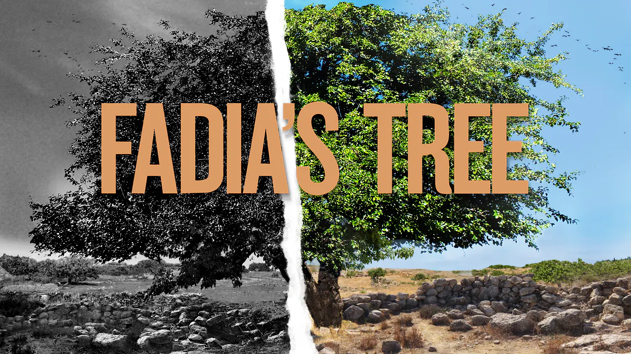 Fadia's Tree - Watermelon+