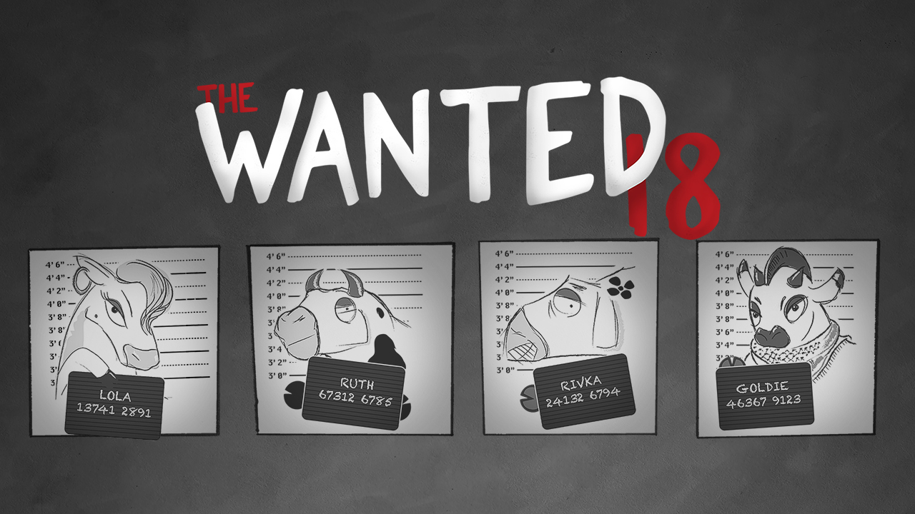 The Wanted 18