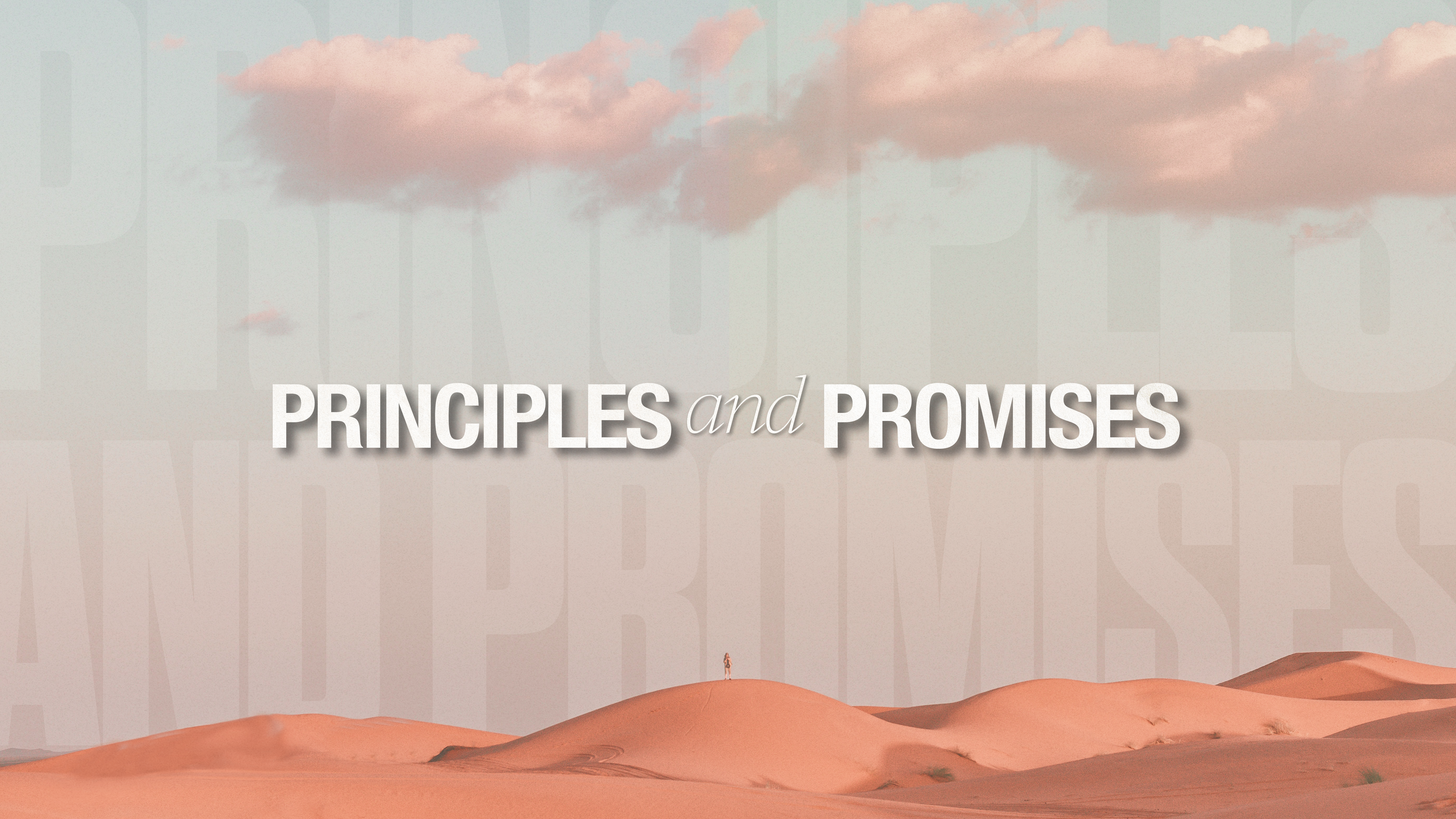 The Principle of Obedience | Daryl High