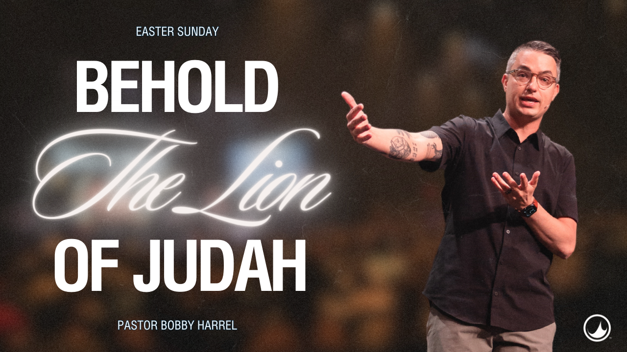 The Lion | Bobby Harrell