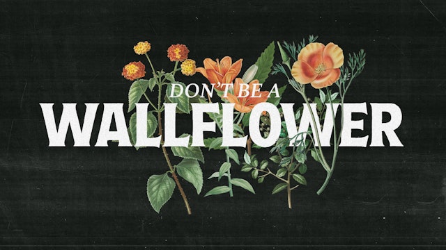Don't Be A Wallflower Pt.1 | Jared Klingmeyer