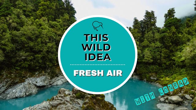THIS WILD IDEA In New Zealand - Fresh...