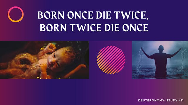 These Are The Words: Born Once Die Tw...