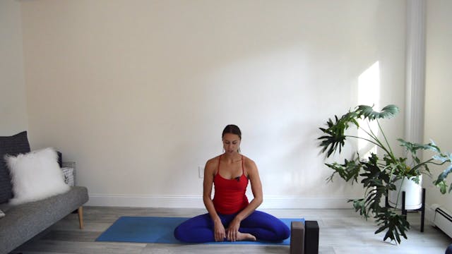 Beginner's Yoga Practice