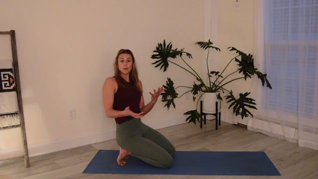 Back to Basics: Cat/Cow, Downward Facing Dog, and Plank Pose