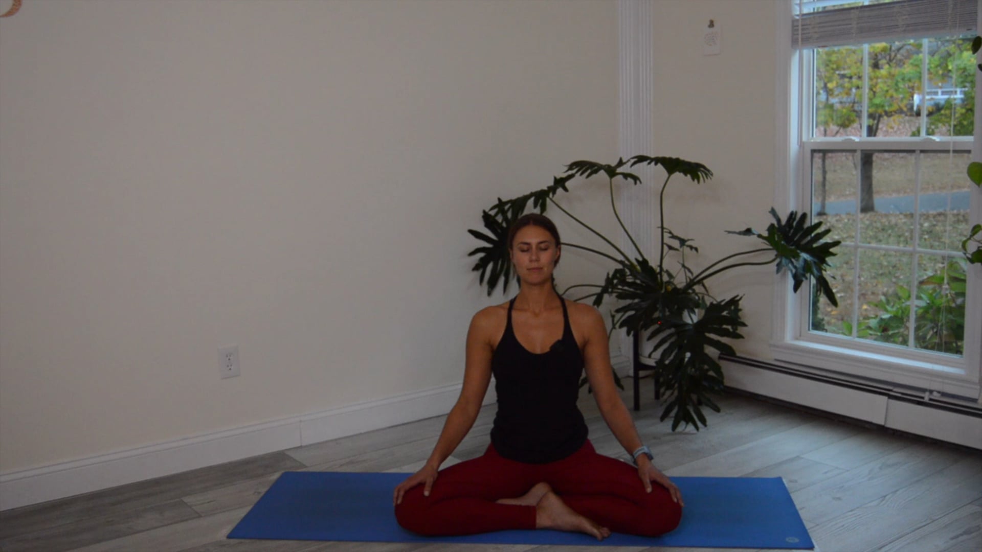 Meditation for Focus + Concentration