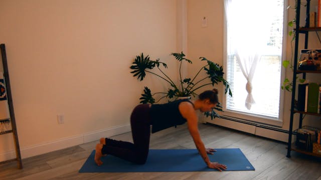 Back To Basics #2: Chaturanga, Cobra,...