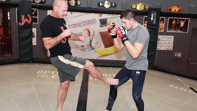 The MMA Low Kick System - Training fo...