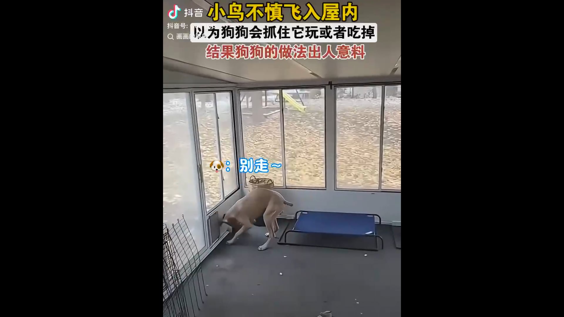 7a2b38579b52b8410c9cbfb992196178