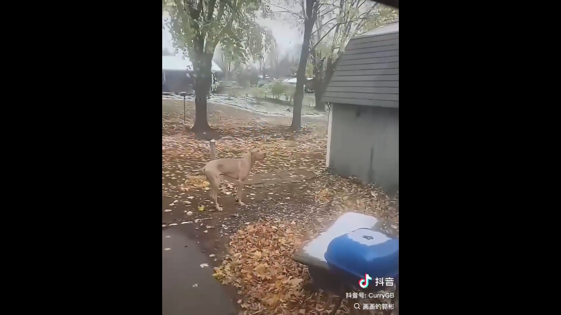 7a2b38579b52b8410c9cbfb992196178