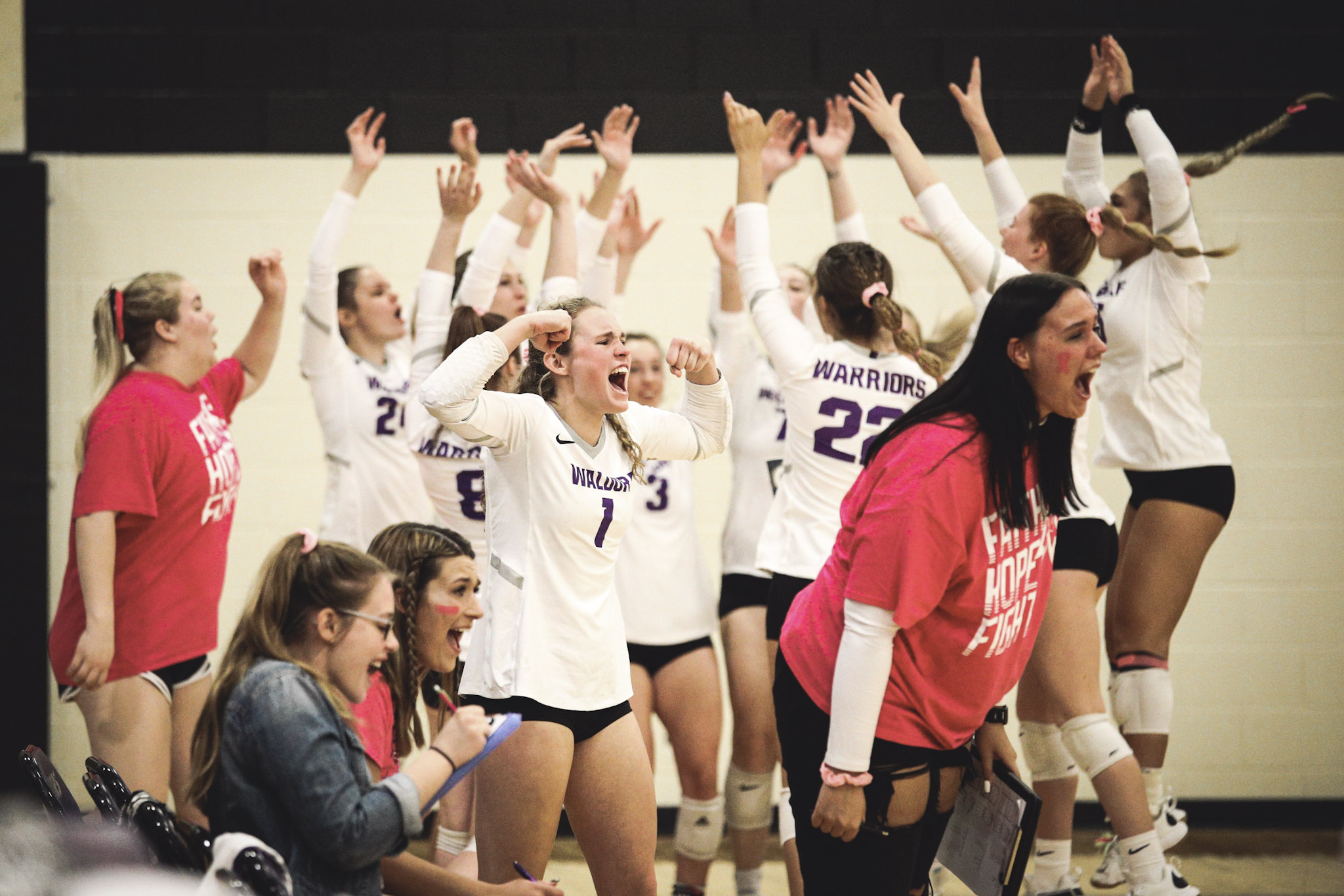 (Volleyball) Waldorf v. Dakota State
