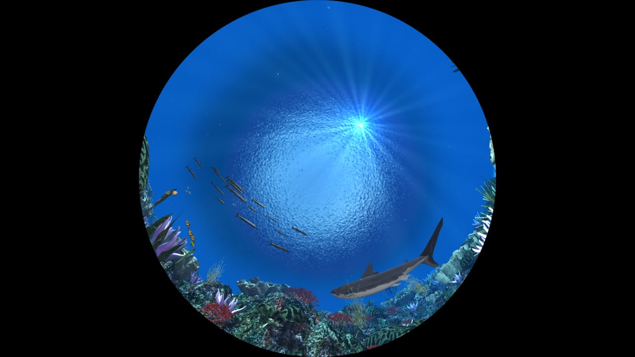 Stars to Starfish Full Dome Planetarium Program