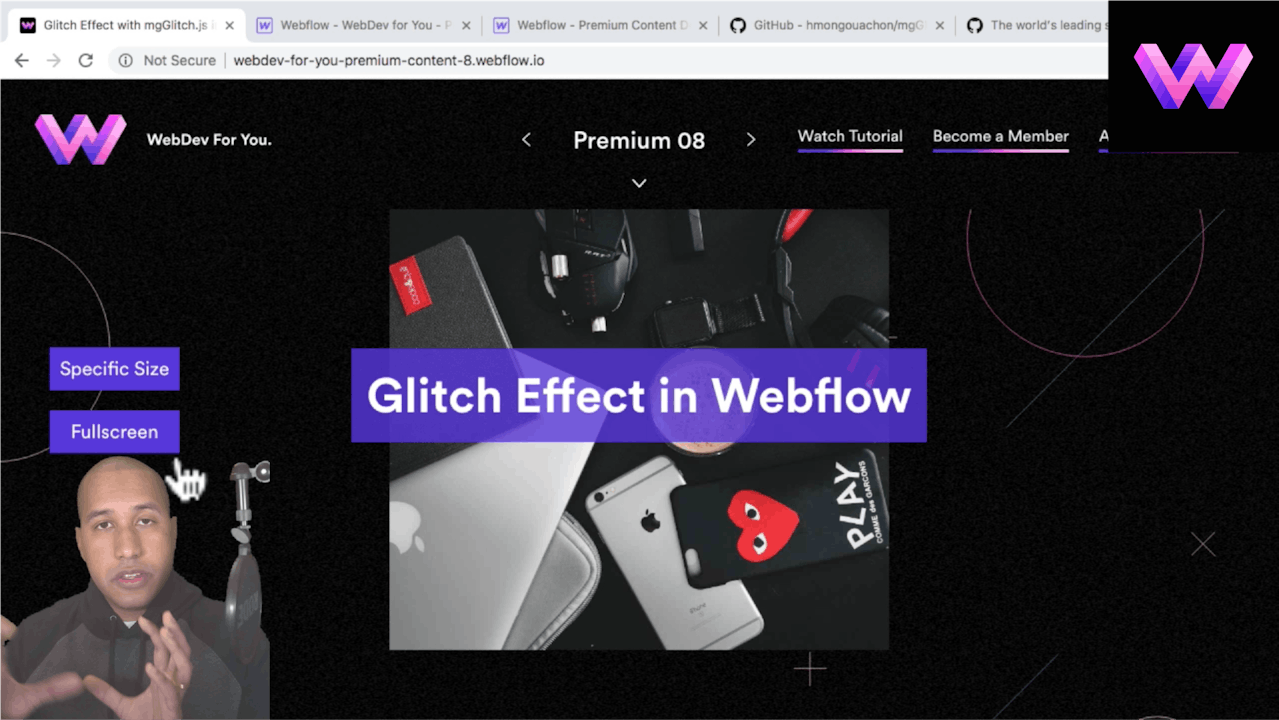 Gltich Script in Webflow