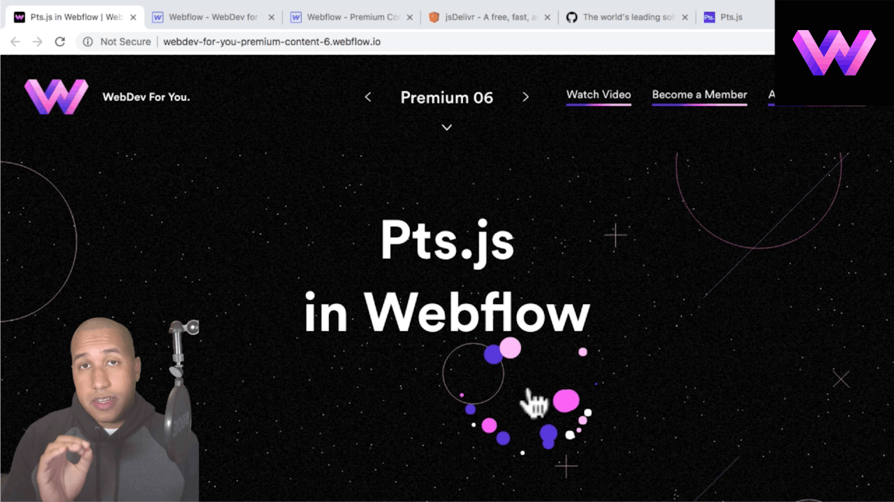 Pts.js Script in Webflow