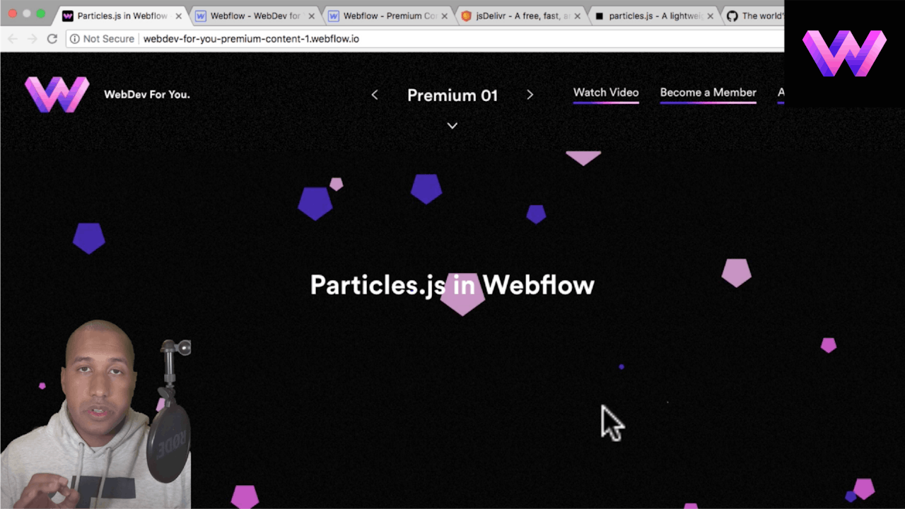 Particles.js Script in Webflow