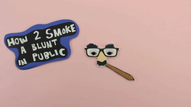 How 2 Smoke a Blunt in Public
