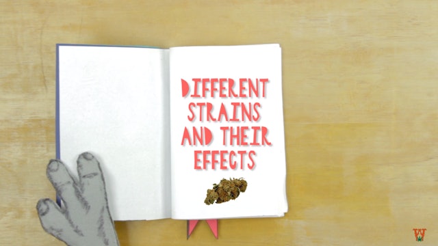 Different Strains &Their Effects