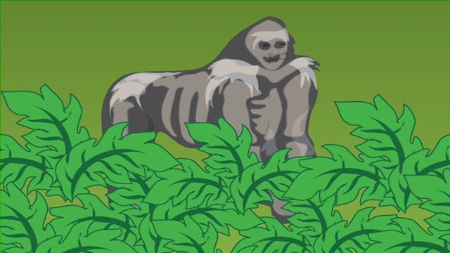 SPECIES