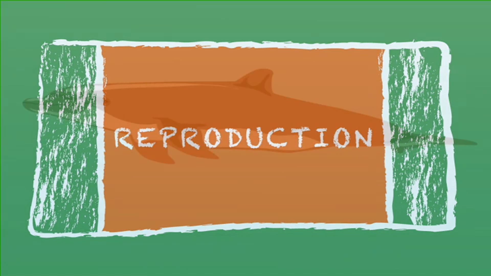 REPRODUCTION