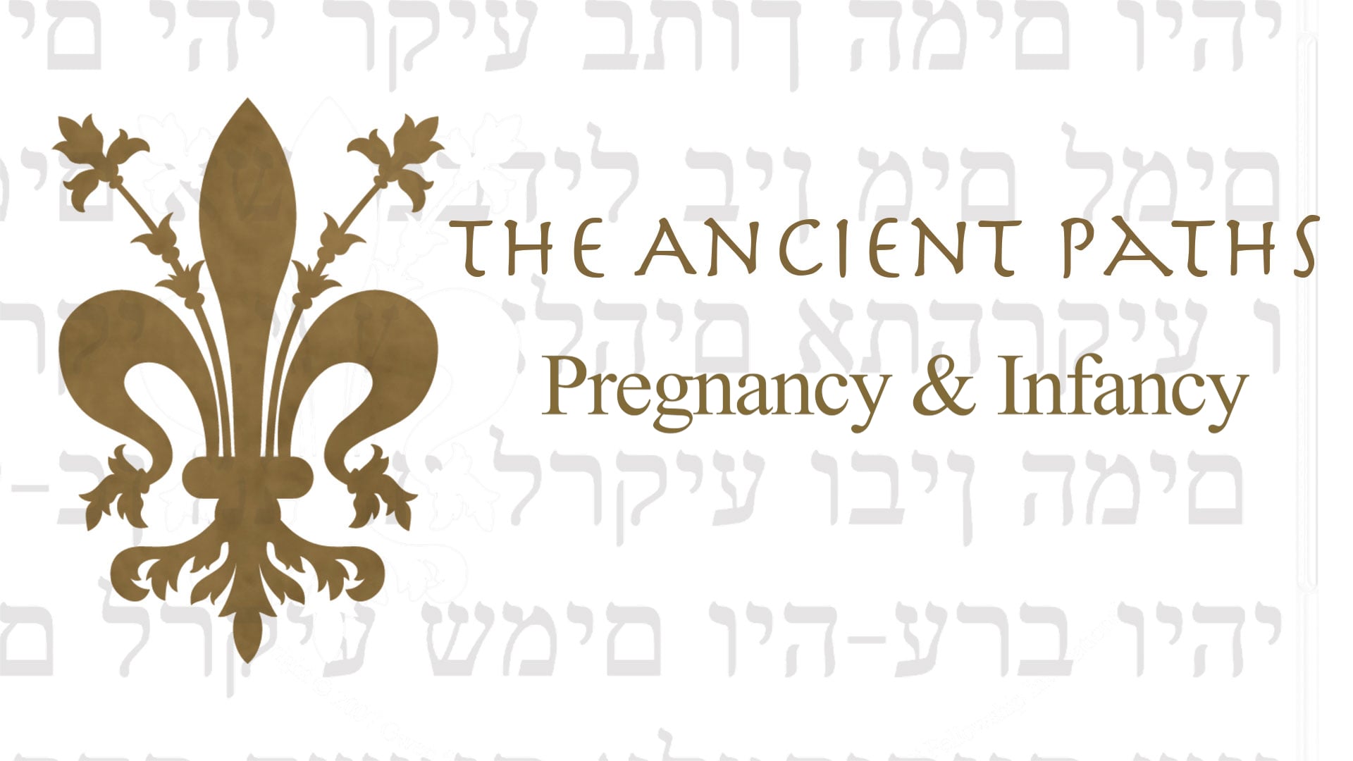 Motherhood: Pregnancy and Infancy