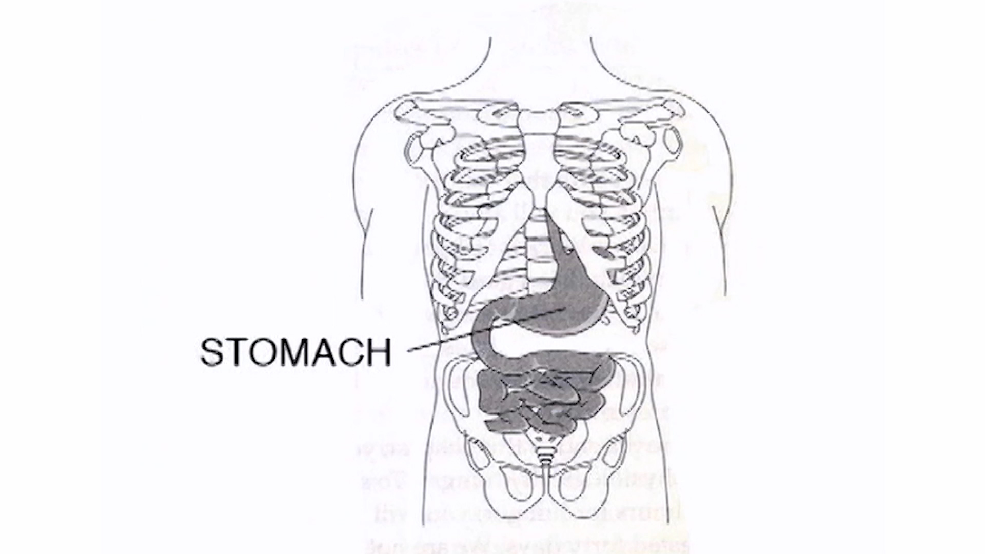 How to Wait for the Growl