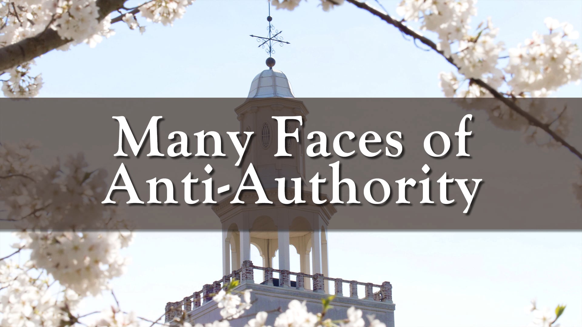Many Faces of Anti-Authority