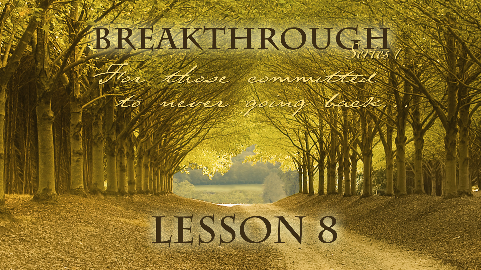 Breakthrough Lesson 8 - Breakthrough Moments