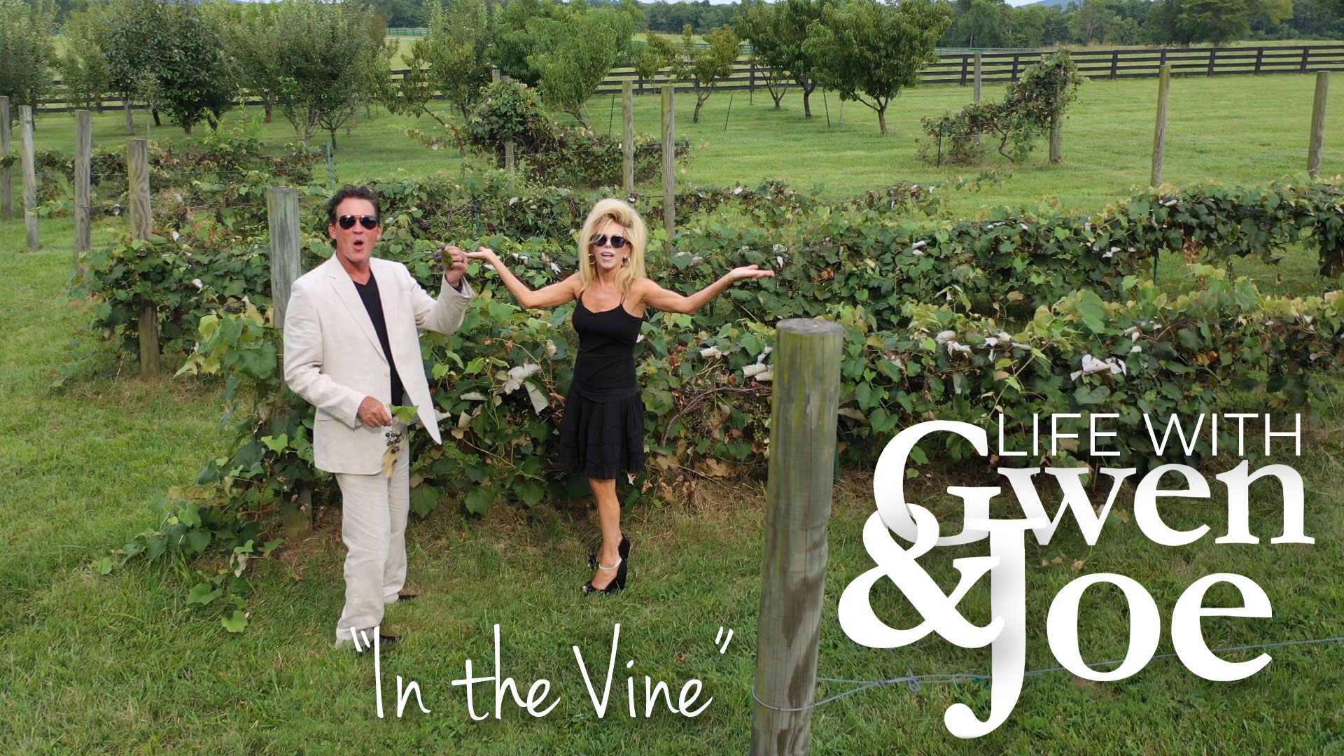 Life with Gwen & Joe - In the Vine