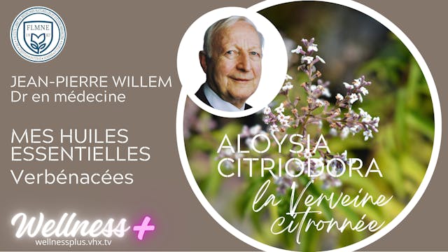 HE VERVEINE CITRONNEE