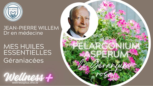 HE GERANIUM