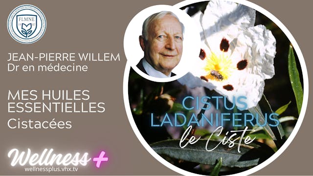 HE CISTE LADANIFÈRE