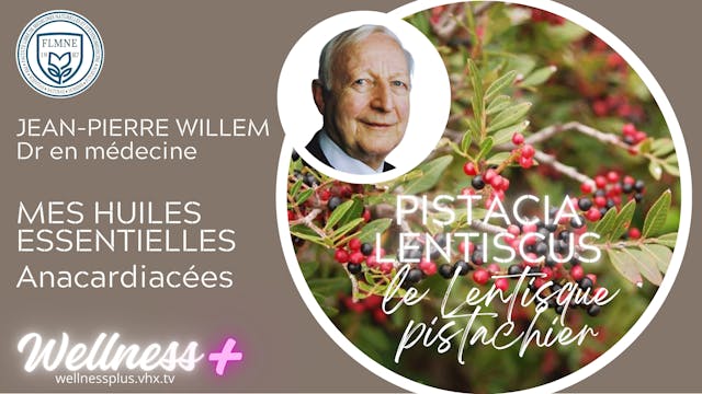 HE LENTISQUE PISTACHIER