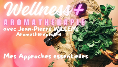 JEAN-PIERRE WILLEM : MES APPROCHES ESSENTIELLES