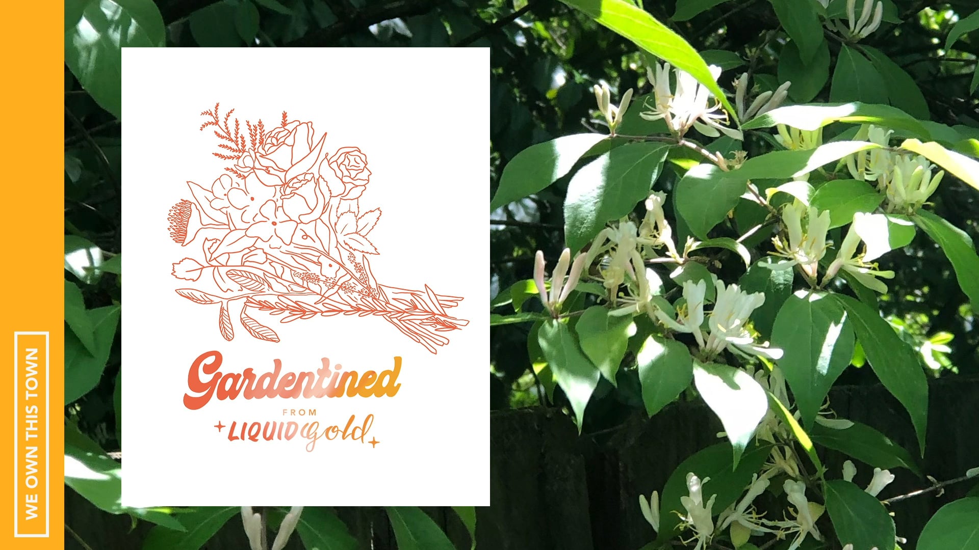 Liquid Gold: Gardentined: Honeysuckle and Pollinators