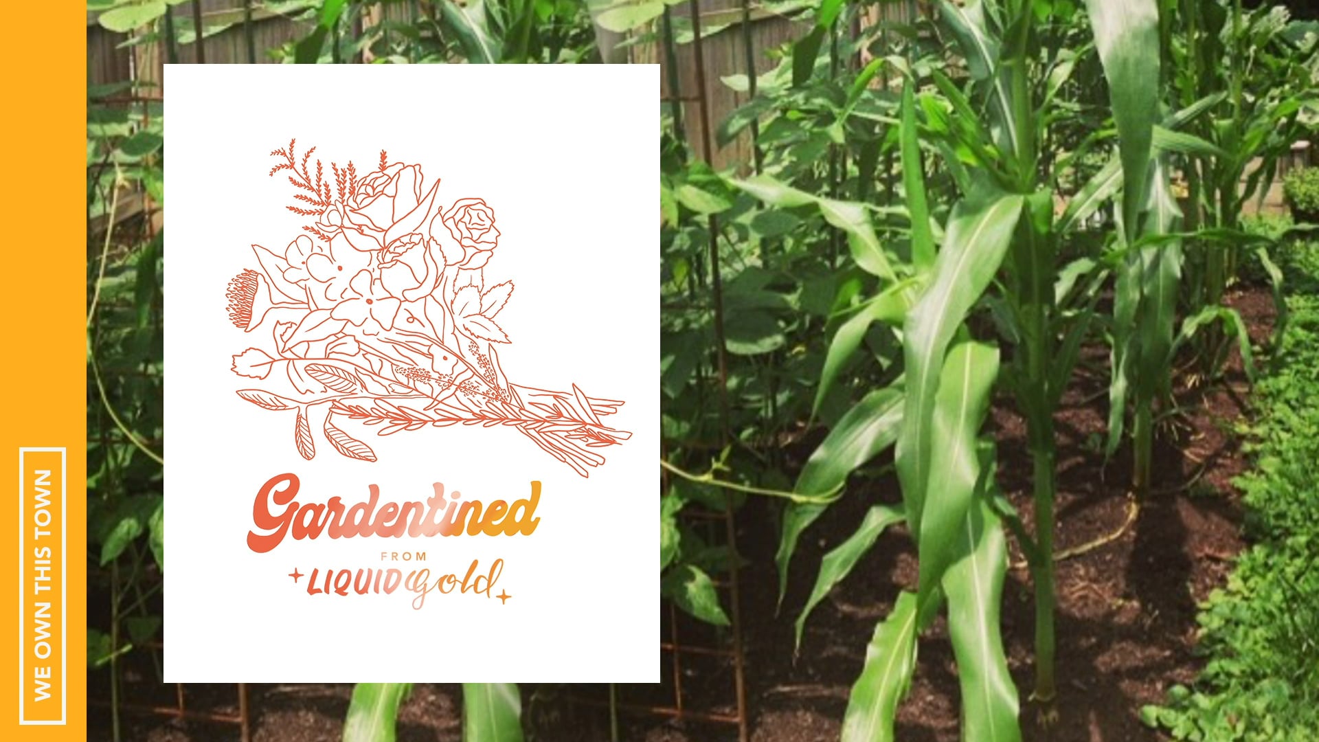 Gardentined: Companion Planting and the Three Sisters