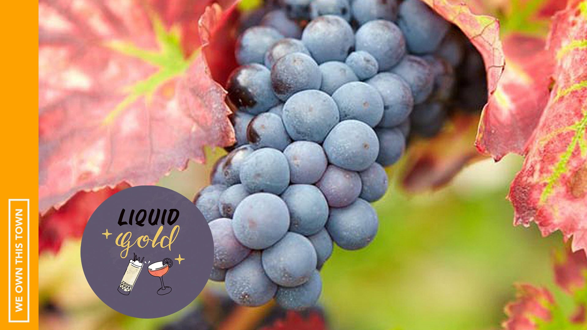 The New Frontiers of Wine with Darcy O’Neil