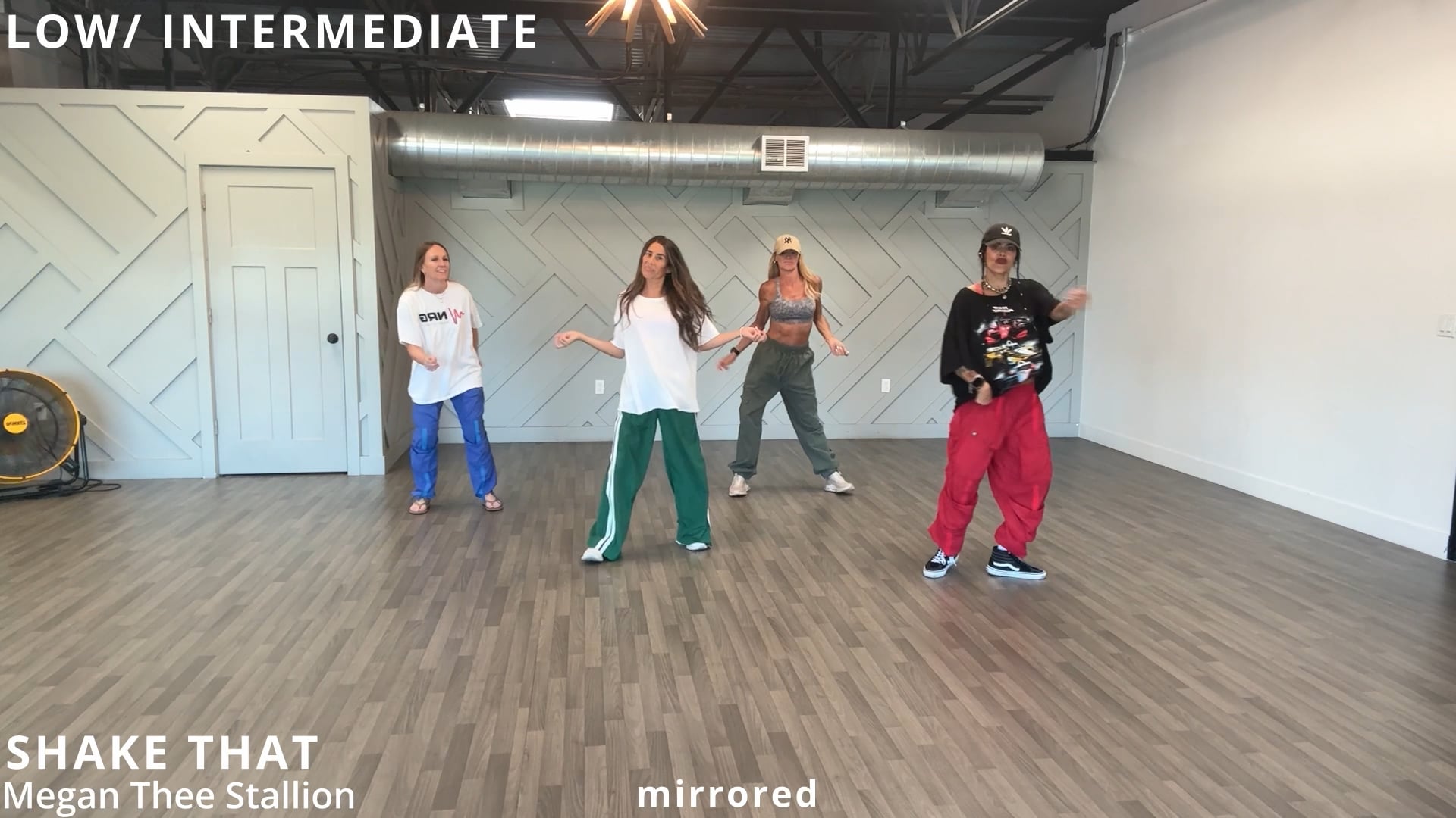 Shake That - Megan Thee Stallion (mirrored)