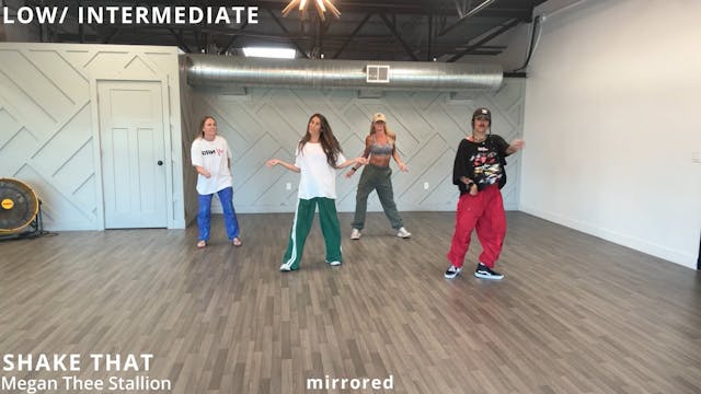 Shake That - Megan Thee Stallion (mir...