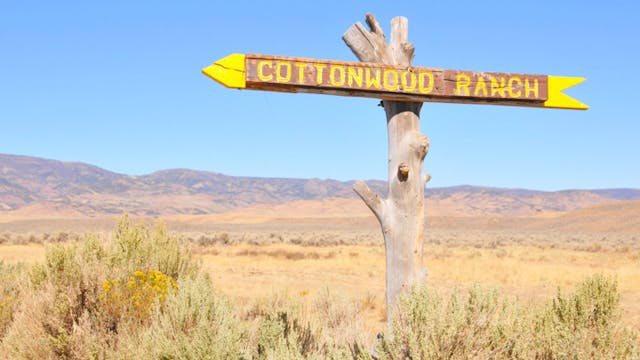 Tales from Cottonwood Ranch