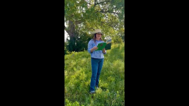 A Prairie