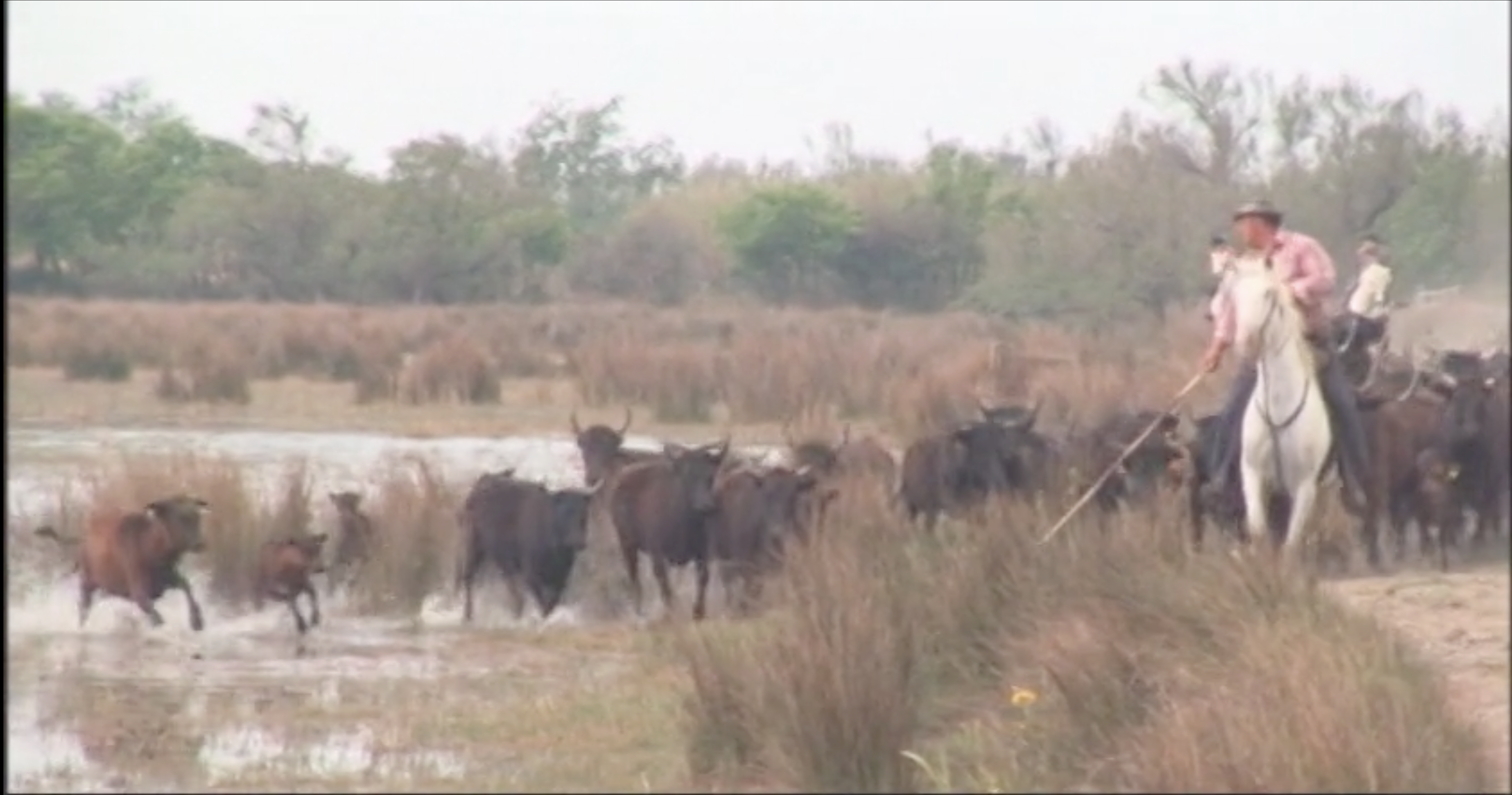 The Western Folklife Center Visits France