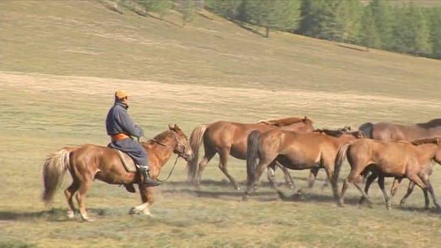 Sagebrush to Steppe